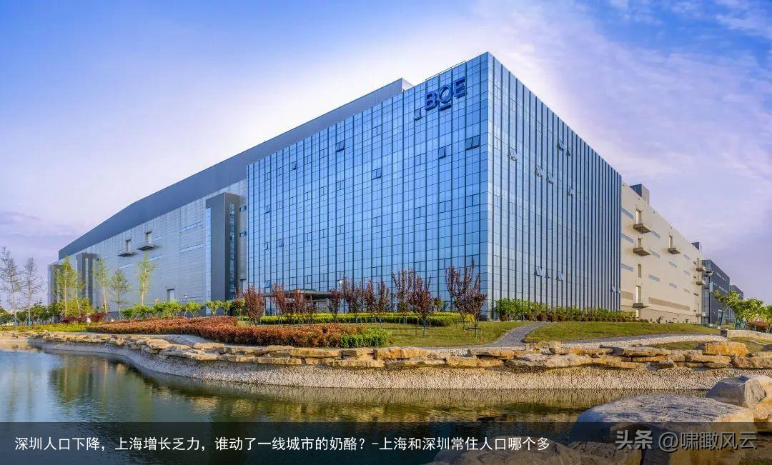 深圳人口下降，上海增长乏力，谁动了一线城市的奶酪？-上海和深圳常住人口哪个多