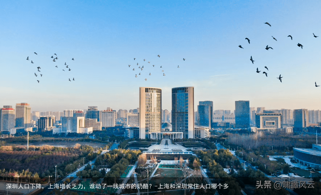 深圳人口下降，上海增长乏力，谁动了一线城市的奶酪？-上海和深圳常住人口哪个多