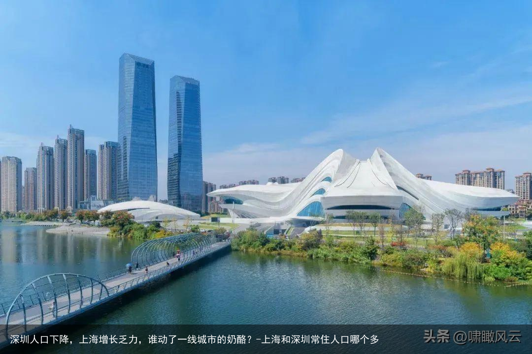 深圳人口下降，上海增长乏力，谁动了一线城市的奶酪？-上海和深圳常住人口哪个多
