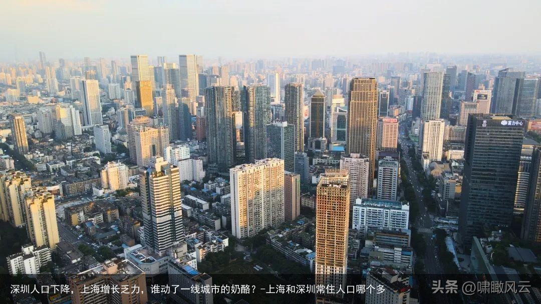 深圳人口下降，上海增长乏力，谁动了一线城市的奶酪？-上海和深圳常住人口哪个多