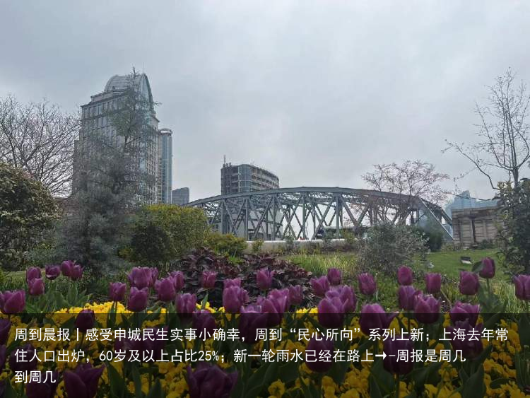 周到晨报丨感受申城民生实事小确幸，周到“民心所向”系列上新；上海去年常住人口出炉，60岁及以上占比25%；新一轮雨水已经在路上→-周报是周几到周几