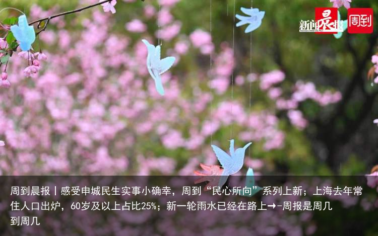 周到晨报丨感受申城民生实事小确幸，周到“民心所向”系列上新；上海去年常住人口出炉，60岁及以上占比25%；新一轮雨水已经在路上→-周报是周几到周几