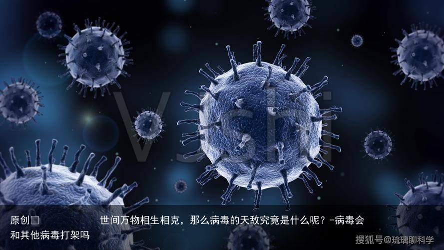世间万物相生相克，那么病毒的天敌究竟是什么呢？-病毒会和其他病毒打架吗