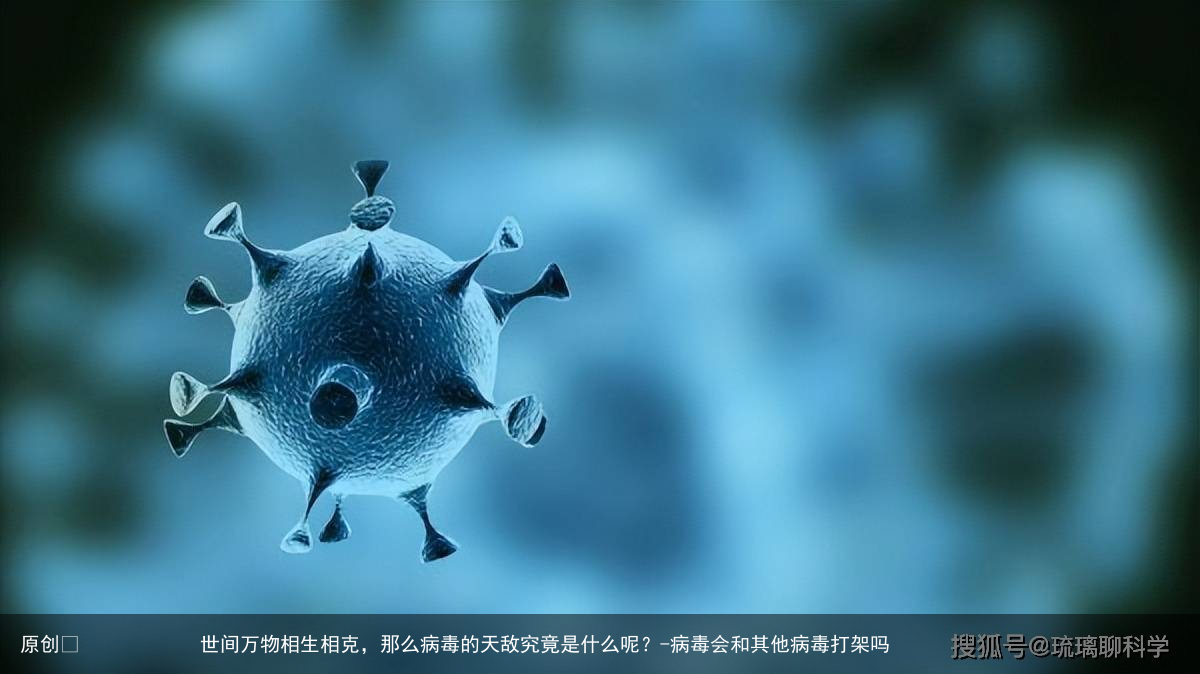 世间万物相生相克，那么病毒的天敌究竟是什么呢？-病毒会和其他病毒打架吗