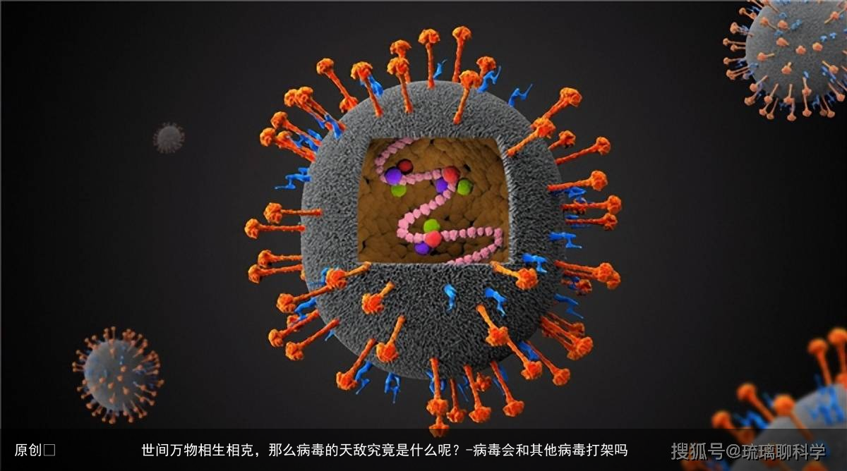 世间万物相生相克，那么病毒的天敌究竟是什么呢？-病毒会和其他病毒打架吗