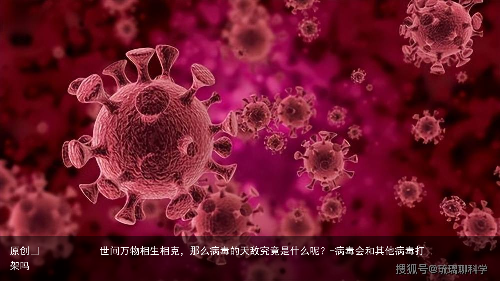 世间万物相生相克，那么病毒的天敌究竟是什么呢？-病毒会和其他病毒打架吗