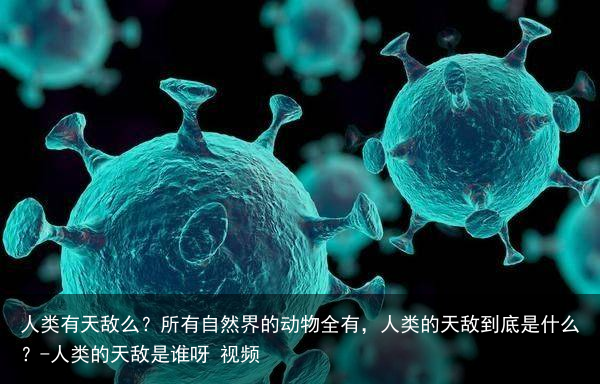 人类有天敌么？所有自然界的动物全有，人类的天敌到底是什么？-人类的天敌是谁呀 视频
