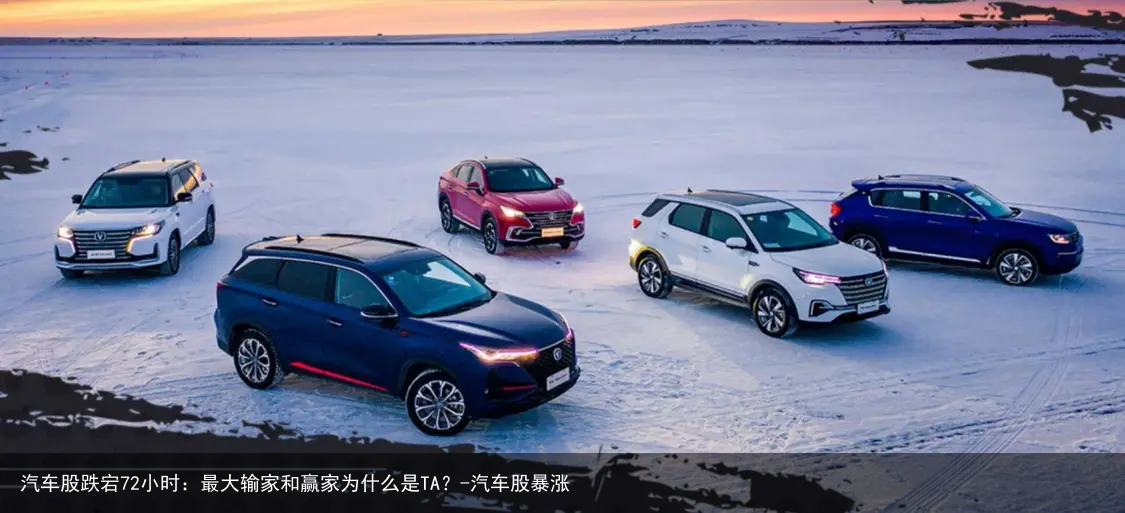 汽车股跌宕72小时：最大输家和赢家为什么是TA？-汽车股暴涨