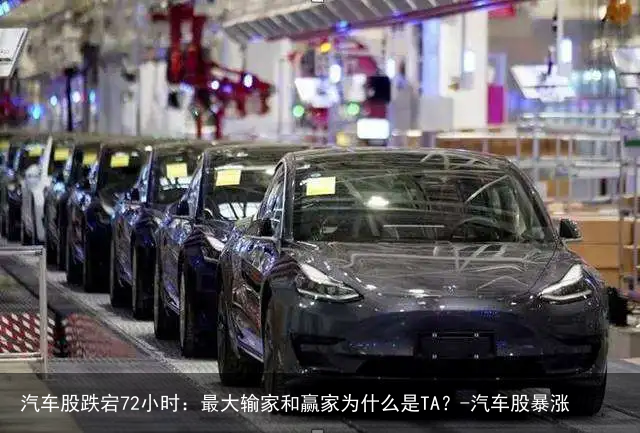 汽车股跌宕72小时：最大输家和赢家为什么是TA？-汽车股暴涨