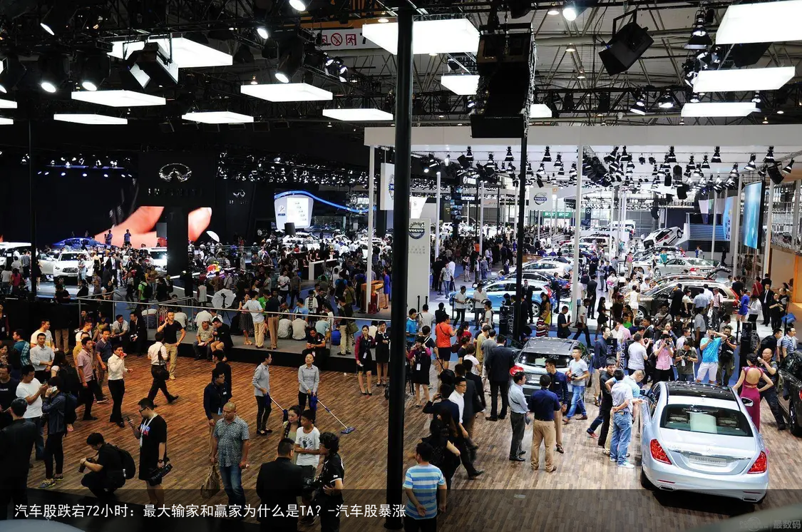 汽车股跌宕72小时：最大输家和赢家为什么是TA？-汽车股暴涨
