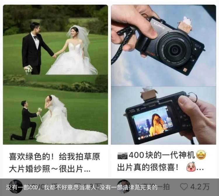 没有一部CCD，我都不好意思当潮人-没有一部法律是完美的