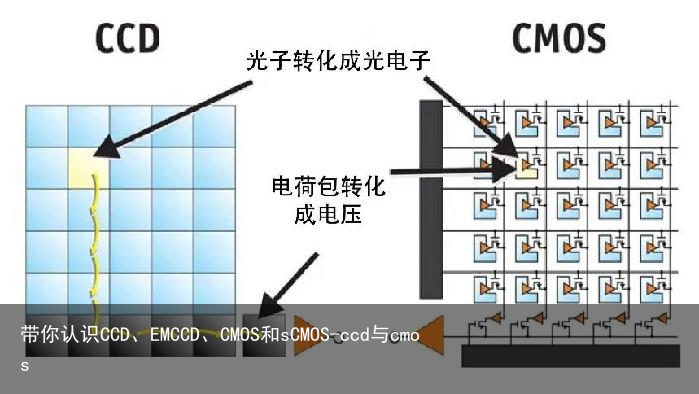 带你认识CCD、EMCCD、CMOS和sCMOS-ccd与cmos