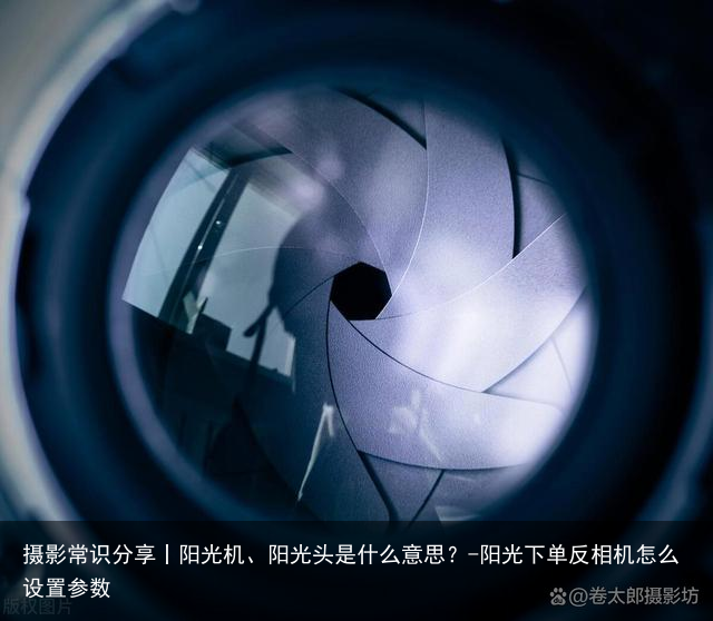 摄影常识分享丨阳光机、阳光头是什么意思？-阳光下单反相机怎么设置参数