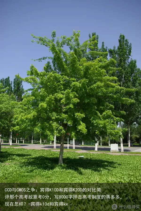 CCD与CMOS之争：宾得K10D和宾得K20D的对比简评那个高考故意考0分，写8000字抨击高考制度的蒋多多，现在怎样？-宾得k10d和宾得kx