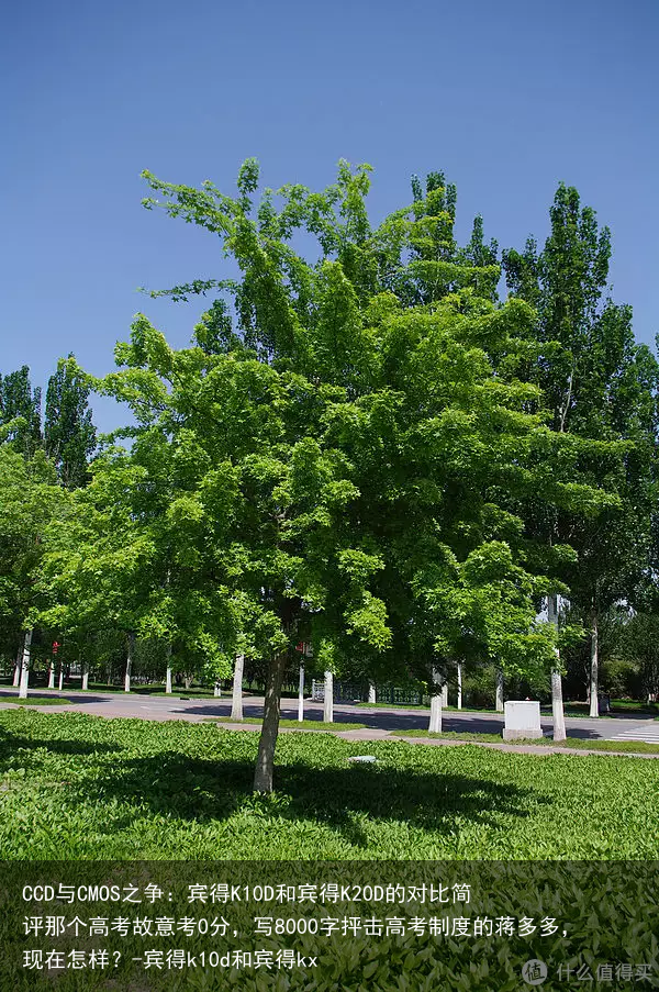 CCD与CMOS之争：宾得K10D和宾得K20D的对比简评那个高考故意考0分，写8000字抨击高考制度的蒋多多，现在怎样？-宾得k10d和宾得kx