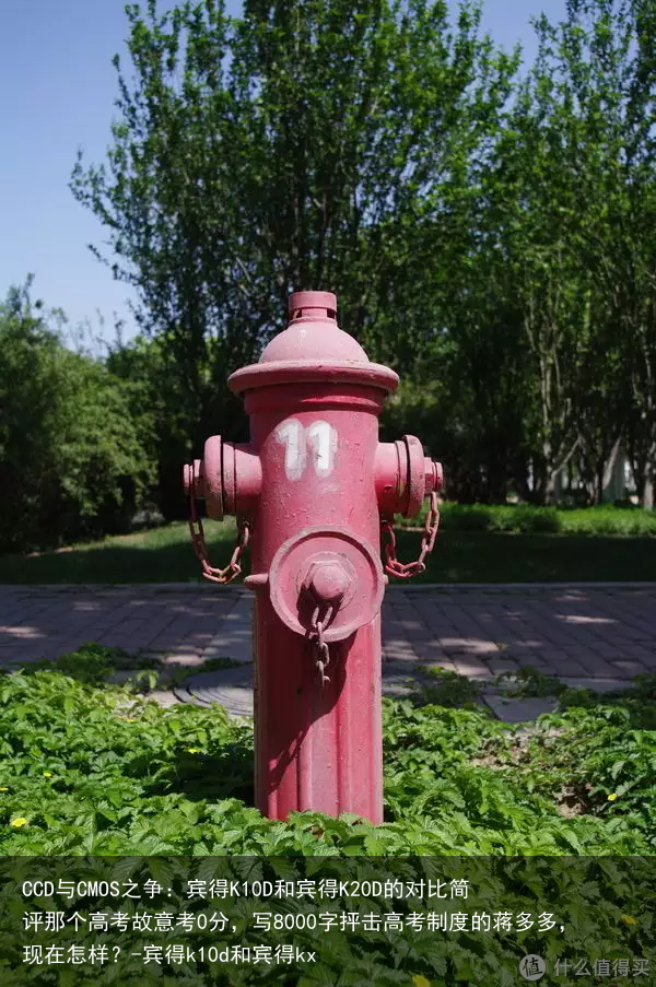 CCD与CMOS之争：宾得K10D和宾得K20D的对比简评那个高考故意考0分，写8000字抨击高考制度的蒋多多，现在怎样？-宾得k10d和宾得kx