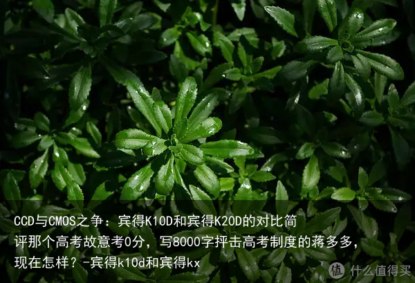 CCD与CMOS之争：宾得K10D和宾得K20D的对比简评那个高考故意考0分，写8000字抨击高考制度的蒋多多，现在怎样？-宾得k10d和宾得kx