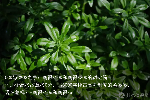 CCD与CMOS之争：宾得K10D和宾得K20D的对比简评那个高考故意考0分，写8000字抨击高考制度的蒋多多，现在怎样？-宾得k10d和宾得kx