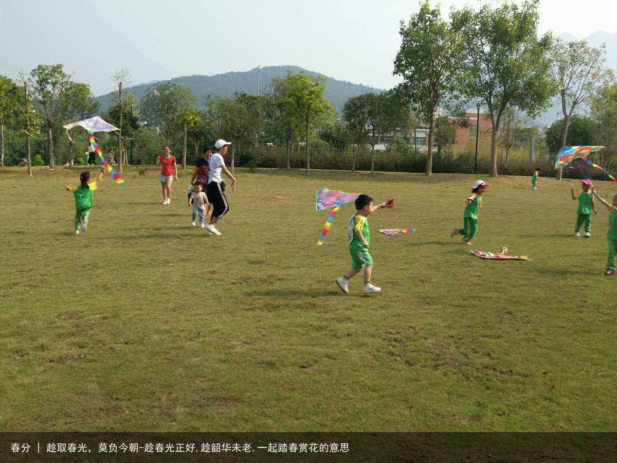 春分 | 趁取春光，莫负今朝-趁春光正好,趁韶华未老,一起踏春赏花的意思