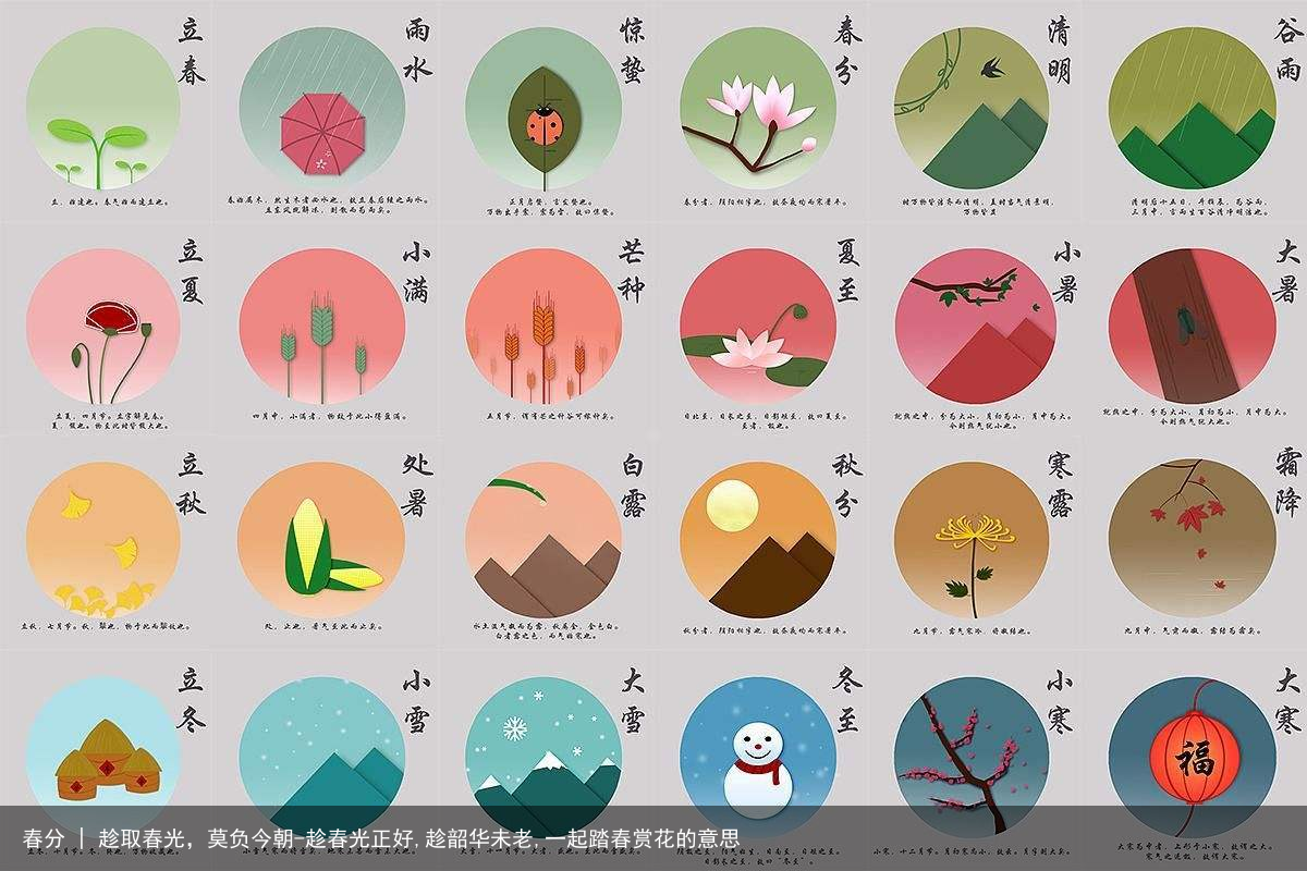 春分 | 趁取春光，莫负今朝-趁春光正好,趁韶华未老,一起踏春赏花的意思