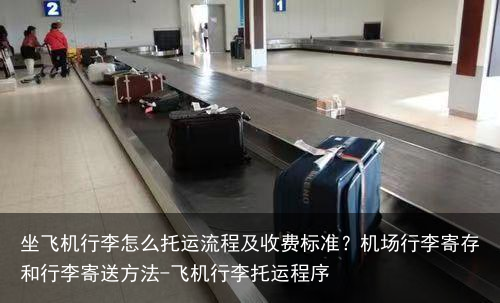 坐飞机行李怎么托运流程及收费标准？机场行李寄存和行李寄送方法-飞机行李托运程序