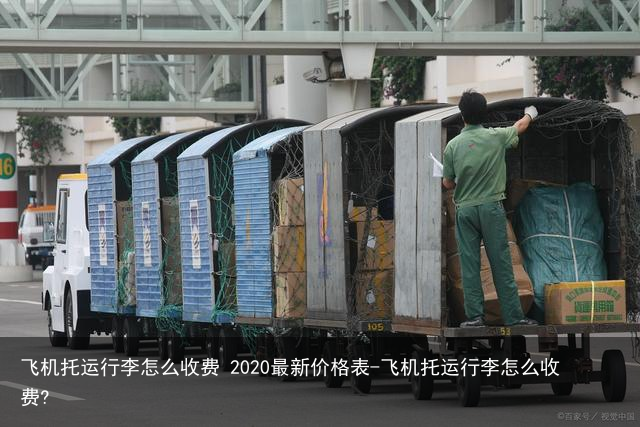 飞机托运行李怎么收费 2020最新价格表-飞机托运行李怎么收费?