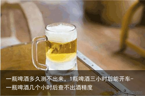 一瓶啤酒多久测不出来，1瓶啤酒三小时后能开车-一瓶啤酒几个小时后查不出酒精度