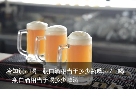 冷知识：喝一瓶白酒相当于多少瓶啤酒？-喝一瓶白酒相当于喝多少啤酒