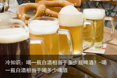 冷知识：喝一瓶白酒相当于多少瓶啤酒？-喝一瓶白酒相当于喝多少啤酒