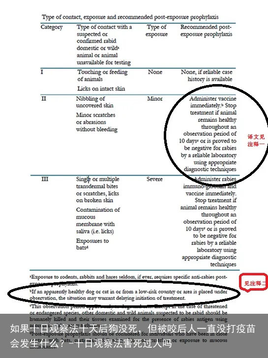 如果十日观察法十天后狗没死，但被咬后人一直没打疫苗会发生什么？-十日观察法害死过人吗