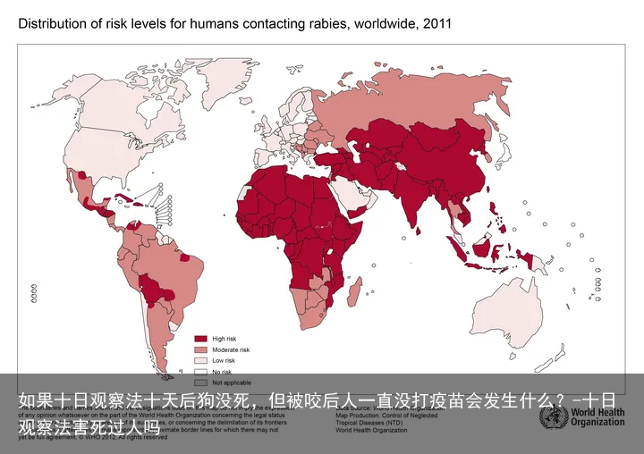 如果十日观察法十天后狗没死，但被咬后人一直没打疫苗会发生什么？-十日观察法害死过人吗