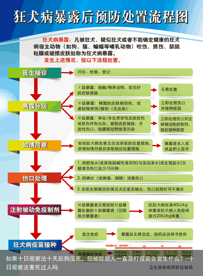 如果十日观察法十天后狗没死，但被咬后人一直没打疫苗会发生什么？-十日观察法害死过人吗