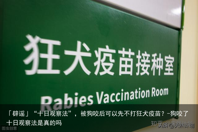 「辟谣」“十日观察法”，被狗咬后可以先不打狂犬疫苗？-狗咬了十日观察法是真的吗