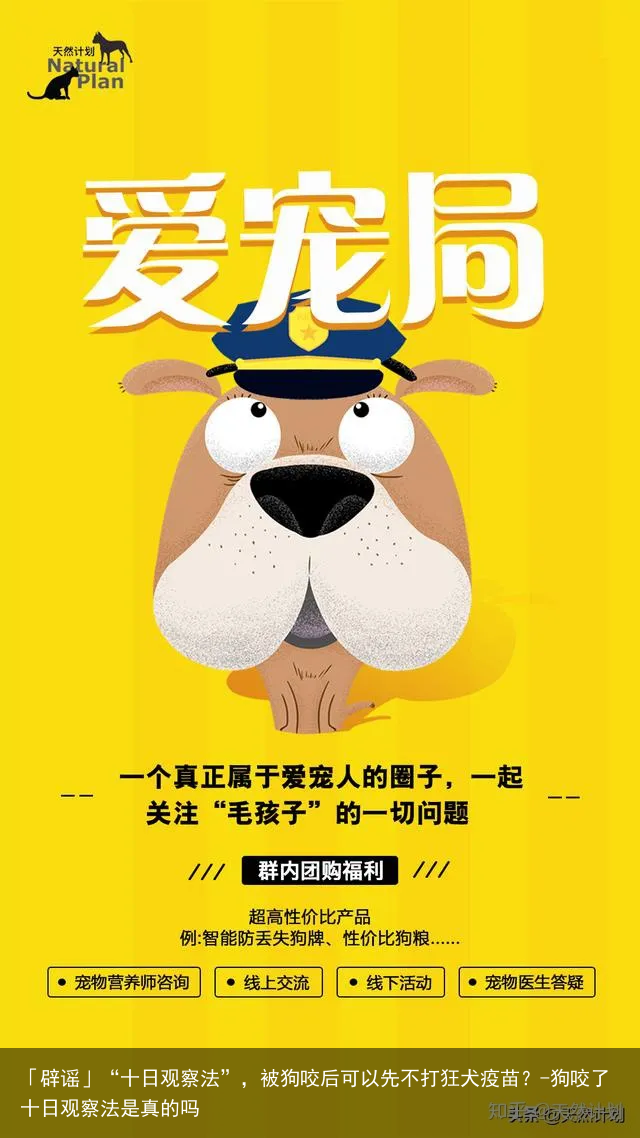 「辟谣」“十日观察法”，被狗咬后可以先不打狂犬疫苗？-狗咬了十日观察法是真的吗