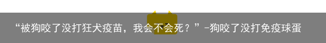 “被狗咬了没打狂犬疫苗，我会不会死？”-狗咬了没打免疫球蛋白行吗