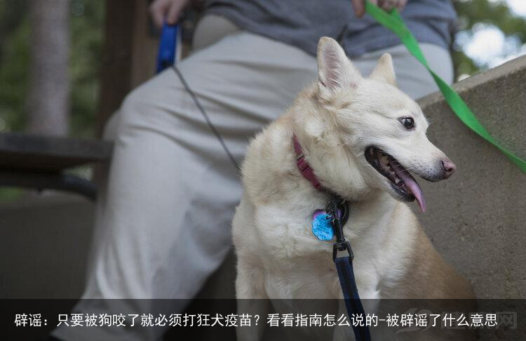 辟谣：只要被狗咬了就必须打狂犬疫苗？看看指南怎么说的-被辟谣了什么意思