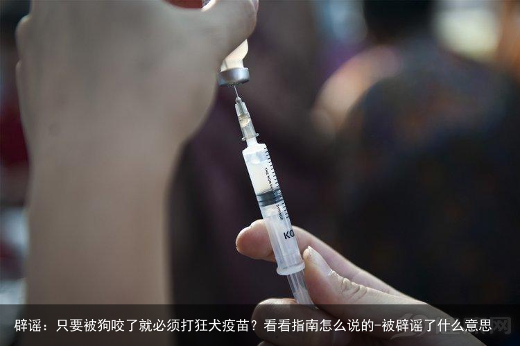 辟谣：只要被狗咬了就必须打狂犬疫苗？看看指南怎么说的-被辟谣了什么意思