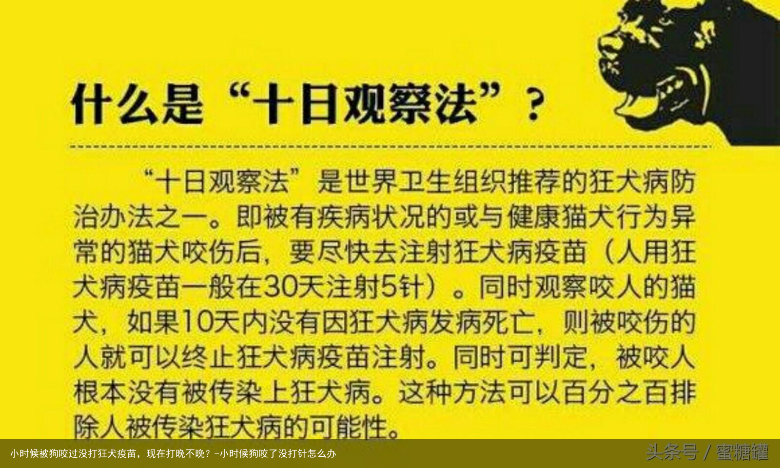 小时候被狗咬过没打狂犬疫苗，现在打晚不晚？-小时候狗咬了没打针怎么办