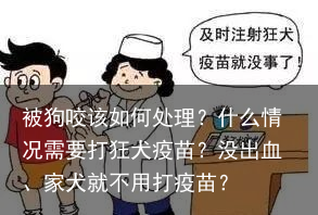 被狗咬该如何处理？什么情况需要打狂犬疫苗？没出血、家犬就不用打疫苗？