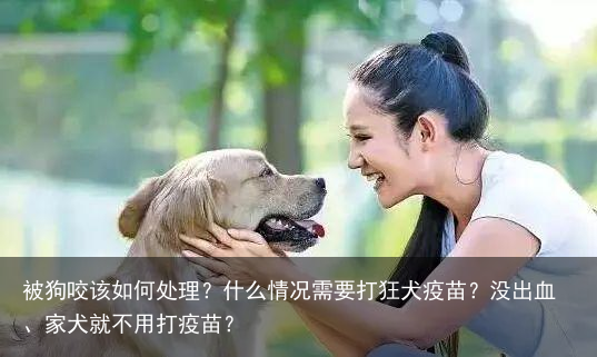 被狗咬该如何处理？什么情况需要打狂犬疫苗？没出血、家犬就不用打疫苗？