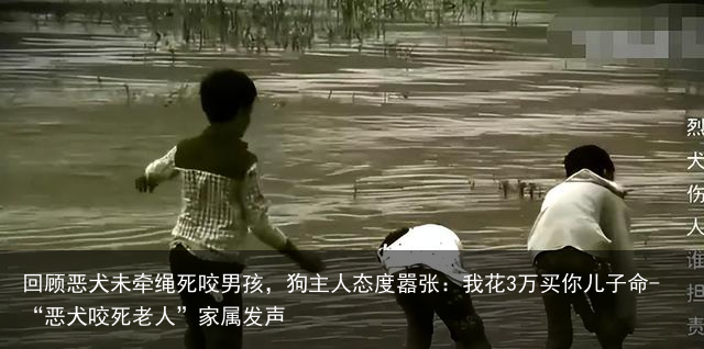 回顾恶犬未牵绳死咬男孩，狗主人态度嚣张：我花3万买你儿子命-“恶犬咬死老人”家属发声
