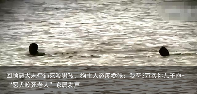回顾恶犬未牵绳死咬男孩，狗主人态度嚣张：我花3万买你儿子命-“恶犬咬死老人”家属发声