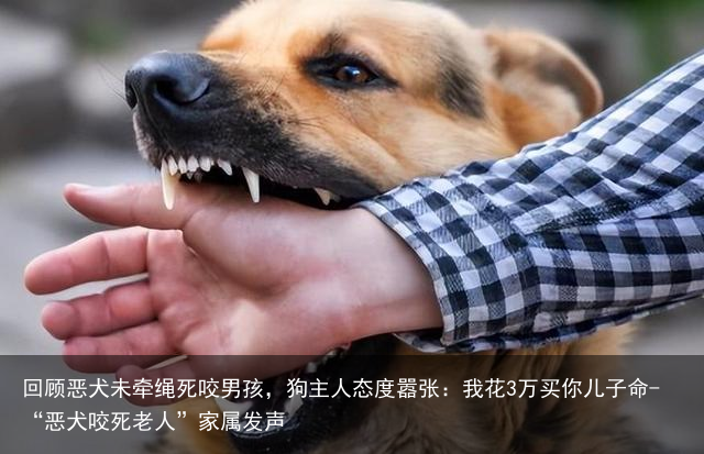 回顾恶犬未牵绳死咬男孩，狗主人态度嚣张：我花3万买你儿子命-“恶犬咬死老人”家属发声