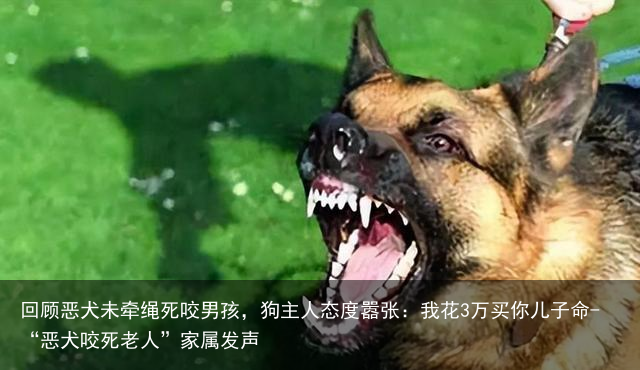 回顾恶犬未牵绳死咬男孩，狗主人态度嚣张：我花3万买你儿子命-“恶犬咬死老人”家属发声