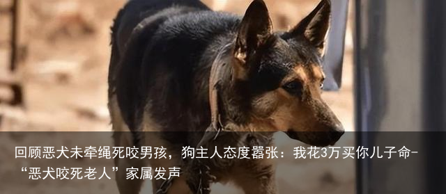 回顾恶犬未牵绳死咬男孩，狗主人态度嚣张：我花3万买你儿子命-“恶犬咬死老人”家属发声