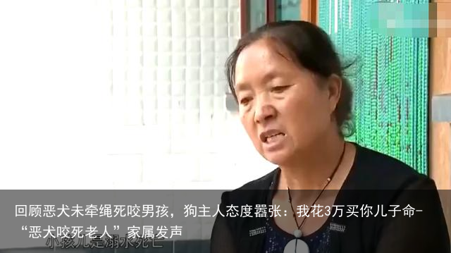 回顾恶犬未牵绳死咬男孩，狗主人态度嚣张：我花3万买你儿子命-“恶犬咬死老人”家属发声