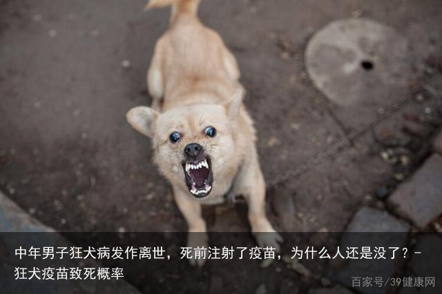 中年男子狂犬病发作离世，死前注射了疫苗，为什么人还是没了？-狂犬疫苗致死概率