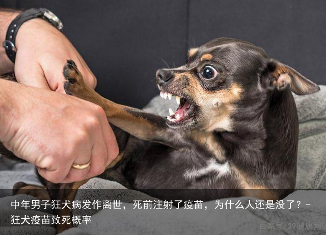中年男子狂犬病发作离世，死前注射了疫苗，为什么人还是没了？-狂犬疫苗致死概率