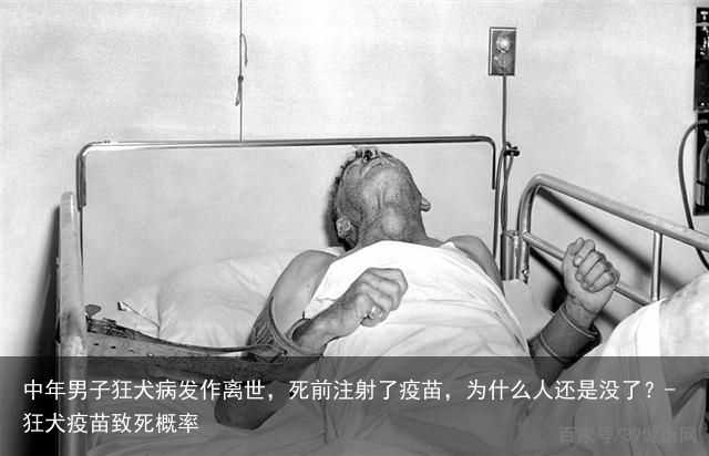 中年男子狂犬病发作离世，死前注射了疫苗，为什么人还是没了？-狂犬疫苗致死概率