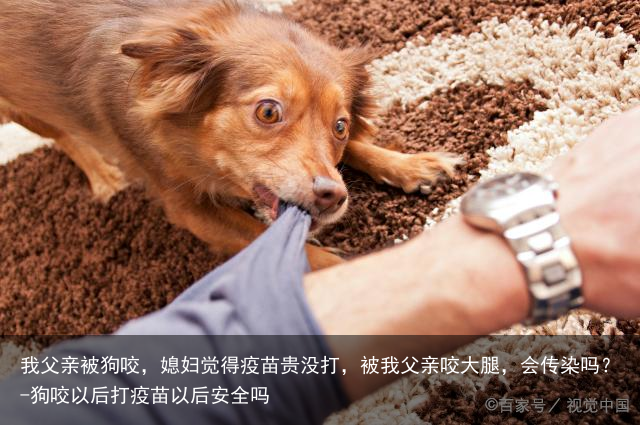 我父亲被狗咬，媳妇觉得疫苗贵没打，被我父亲咬大腿，会传染吗？-狗咬以后打疫苗以后安全吗